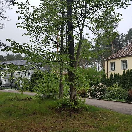 Willa Reverans Borne Sulinowo Eksteriør bilde